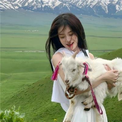 雪豹特战