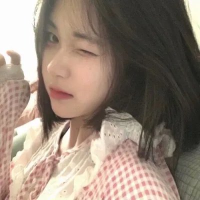 不安分的狗